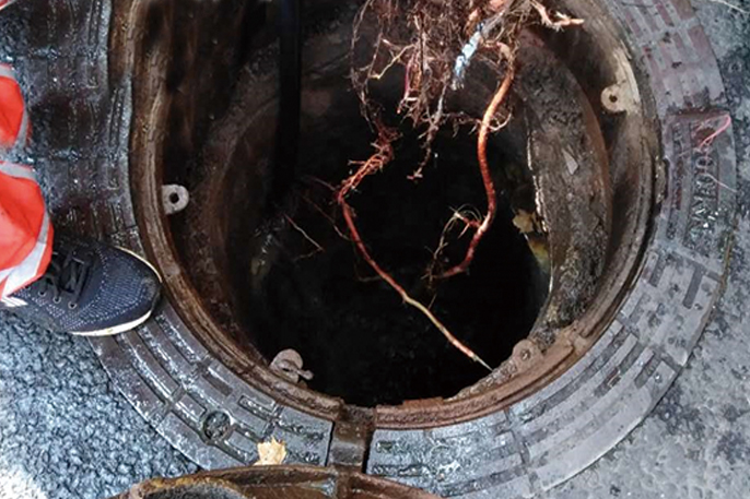 青羊管道预处理